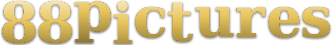 88pictures logo